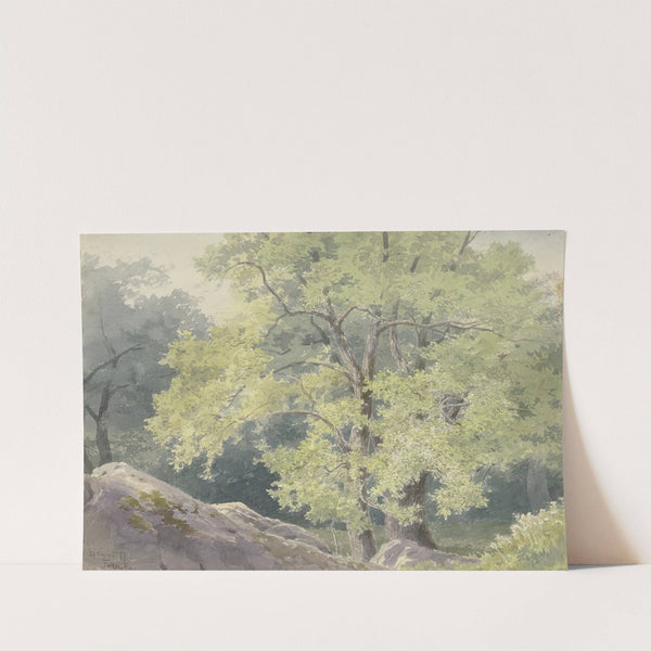 In the forest near Falkenstein by Friedrich Ernst Morgenstern