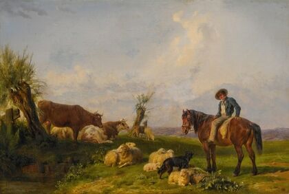 In the Meadow