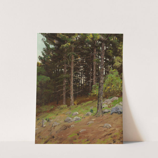 In the Pines by Ben Foster