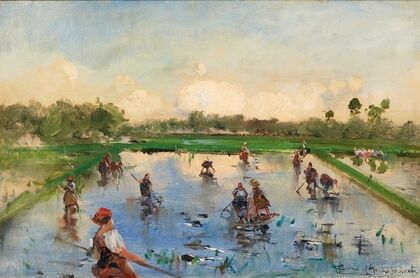In the Rice Field, Zelata