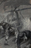 In the Roaring Forties