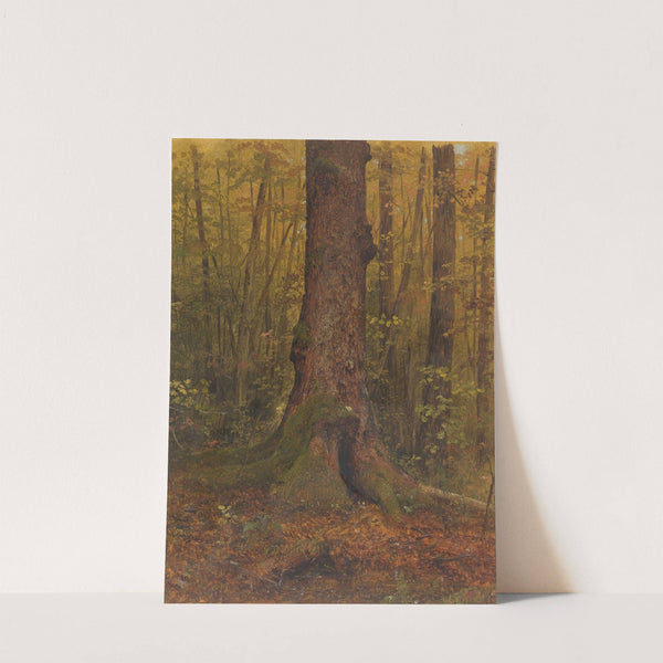 In the Woods, probably Maine (1850–60) by Frederic Edwin Church