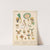 India - Jewels, adomments by Paul Louis de Giafferri