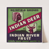 Indian Deer Fruit Label (1940s)