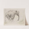 Indian Elephant (1915-1921) by Wilhelm Kuhnert