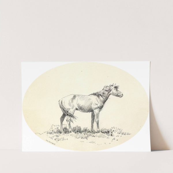Indian Pony by Olaf C. Seltzer