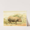 Indian Rhinoceros (1893-1896) by Pierre Jacques Smit