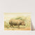 Indian Rhinoceros (1893-1896) by Pierre Jacques Smit