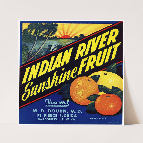 Indian River Sunshine Fruit Citrus Label (1930s)