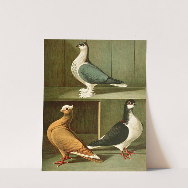 Indische Tümmler by Gustav Prütz