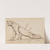 Injured Lioness (1860 - 1872) by Wojciech Gerson