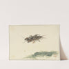 Insect by Gerard Sanders