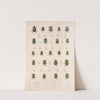 Insecta Coleoptera Pl 004 by Frederick DuCane Godman