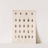 Insecta Coleoptera Pl 006 by Frederick DuCane Godman