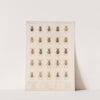 Insecta Coleoptera Pl 008 by Frederick DuCane Godman