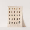 Insecta Coleoptera Pl 018 by Frederick DuCane Godman