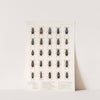 Insecta Coleoptera Pl 027 by Frederick DuCane Godman