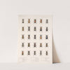 Insecta Coleoptera Pl 090 by Frederick DuCane Godman