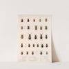 Insecta Coleoptera Pl 105 by Frederick DuCane Godman