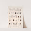 Insecta Coleoptera Pl 114 by Frederick DuCane Godman