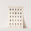 Insecta Coleoptera Pl 253 by Frederick DuCane Godman
