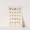 Insecta Hymenoptera Pl 07 by Frederick DuCane Godman