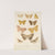 Insecta Lepidoptera-Heterocera Pl 021 by Frederick DuCane Godman