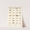 Insecta Lepidoptera-Heterocera Pl 028 by Frederick DuCane Godman