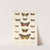 Insecta Lepidoptera-Heterocera Pl 031 by Frederick DuCane Godman