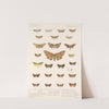 Insecta Lepidoptera-Heterocera Pl 059 by Frederick DuCane Godman