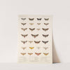 Insecta Lepidoptera-Heterocera Pl 073 by Frederick DuCane Godman