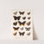 Insecta Lepidoptera-Rhopalocera Pl 010 by Frederick DuCane Godman