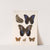 Insecta Lepidoptera-Rhopalocera Pl 015 by Frederick DuCane Godman