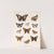 Insecta Lepidoptera-Rhopalocera Pl 028 by Frederick DuCane Godman