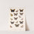 Insecta Lepidoptera-Rhopalocera Pl 029 by Frederick DuCane Godman
