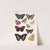 Insecta Lepidoptera-Rhopalocera Pl 032 by Frederick DuCane Godman
