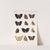 Insecta Lepidoptera-Rhopalocera Pl 035 by Frederick DuCane Godman