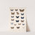 Insecta Lepidoptera-Rhopalocera Pl 039 by Frederick DuCane Godman