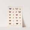 Insecta Lepidoptera-Rhopalocera Pl 041 by Frederick DuCane Godman