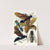 Insectes Pl.17 (1929) by Emile-Allain Séguy