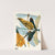 Insectes Pl.20 (1929) by Emile-Allain Séguy