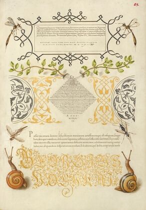 Insects, Basil Thyme, and Land Snails (1561–1596)