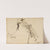 Insects by Oliver Herford