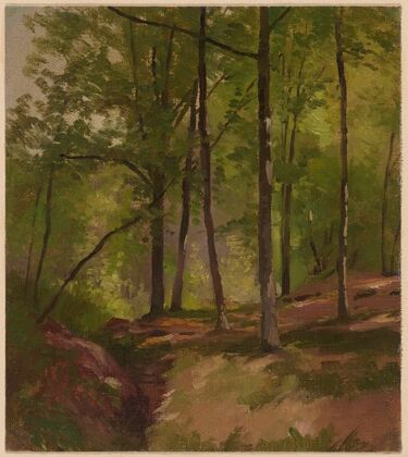 Inside the Forest (1892-1910)