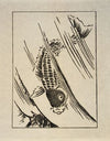 Ipswich Prints; Fish leaping a waterfall
