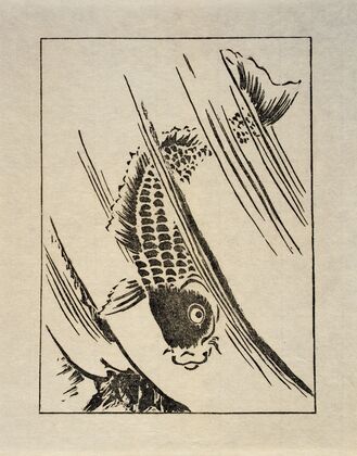 Ipswich Prints; Fish leaping a waterfall