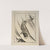 Ipswich Prints; Fish leaping a waterfall (1993) by Arthur Wesley Dow