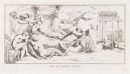 Iris in Domum Somni