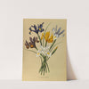 Iris Xiphium (Iris Hispanica) (1872-1881) by Arentina Hendrica Arendsen