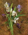 Irises